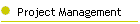 Project Management